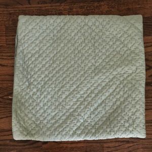 Pottery barn pillow case